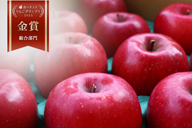 ※一時品切れ中。販売数確定までお待ちください※🏆りんごGP金賞受賞🏆【冬ギフト】サステナサンふじ上品3キロ（7~11玉）🍎 ※化学合成農薬約60％削減〜贈答品、着日指定可能〜