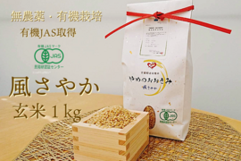 【有機JAS取得】農薬・除草剤・化学肥料一切不使用　やめのおおきみ（風さやか）玄米１㎏