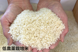 【令和７年産】低農薬栽培米　コシヒカリ　白米　3kg