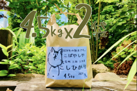 24年度産新米!! もっちもち!! 信州上田産コシヒカリ白米4.5kgx2袋【米ぬか付き】 おむすび お弁当に!! 24年度産新米!! 令和6年新米 農家直送