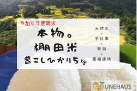 本物。棚田米 昔こしひかり令和4年度産 5kg 美味い米の新潟県一之貝産