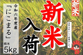 新米！もちもちの弾力！令和6年産「にこまる」精米５㎏×1袋