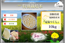 【在庫処分】特別栽培米　令和3年産　福岡県産米『元気つくし』玄米20kg 81ArlD90pML._AC_UL210_SR210,