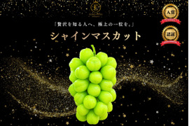 予約販売【長野県主催品評会受賞農園】シャインマスカット２kg以上