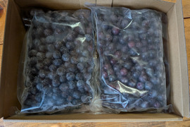 除草剤不使用、特別栽培認証の冷凍ブルーベリー１キロ小粒（ジャム、スムージー、加工用）