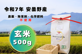 【ポスト投函】令和７年安曇野産オーガニック米【有機JAS取得】味わいあっさり！食感もっちり！　やめのおおきみ（風さやか） 玄米５００g