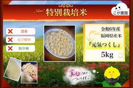 準自然米 大好評の福岡県産「夢つくし」令和7年産 玄米10kg