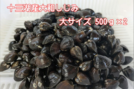 【夏ギフト】『十三湖しじみの特別な一品！』十三湖産活しじみ（砂抜き済み）　大サイズ500ｇ×2Ｐ