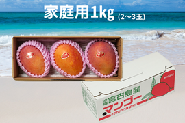 【家庭用】宮古島産完熟マンゴー1㎏(2～3玉)