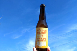 シュワっとすっきり！ゴールデンベリークラフト炭酸リキュール 330ml×4本入り