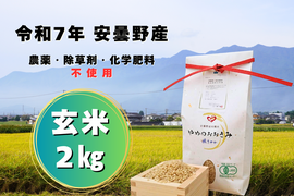 【新米】令和７年安曇野産オーガニック米【有機JAS取得】味わいあっさり！食感もっちり！やめのおおきみ（風さやか）玄米２㎏
