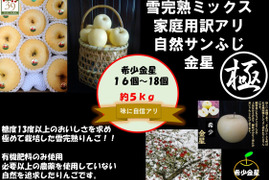 青森りんご  大人気　「希少 」
鮮度良し！！果汁タップリ！！高評価の為　
味に自信アリ！！
 （極み希少金星ミックス）
5kg16個〜18個入