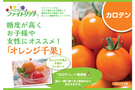 【ファイトリッチ】オレンジ千果ミニトマト1kg：ギフトメッセージ対応