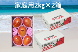 【家庭用2箱買い】宮古島産完熟マンゴー2㎏(4～6玉)×2箱