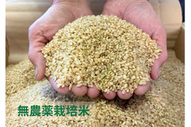 【令和７年産】栽培期間中農薬不使用　コシヒカリ　玄米　3kg