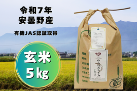 【新米】【数量限定】令和７年安曇野産オーガニック米【有機JAS取得】味わいあっさり！食感もっちり！やめのおおきみ（風さやか）玄米５㎏
