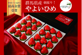 【冬ギフト】【贈答用】【熨斗対応可】「群馬県いちご品評会最高金賞受賞」朝採れいちご　２箱（計やよいひめ400g x 4シート）