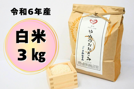 新米　特別栽培米 きぬむすめ 20kg精米済