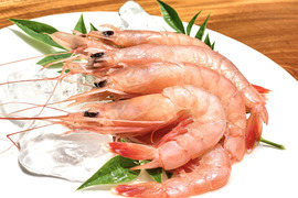【9月予約先行販売】至福のとろける甘さと旨み トロえび大450g