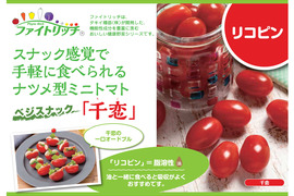 【ファイトリッチ】千恋ミニトマト500g：ヘタなし：ギフトメッセージ対応