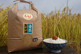 【 玄米・10kg 】米の旨味たっぷり 自然栽培米 はえぬき(5kg×2袋)