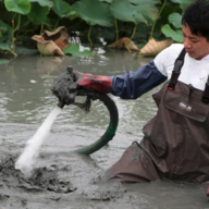 ゆうゆう蓮農園