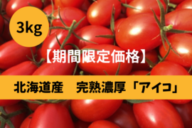 あま〜〜い！！濃い！！完熟ミニトマト「アイコ」(3kg)北海道産・ご自宅用