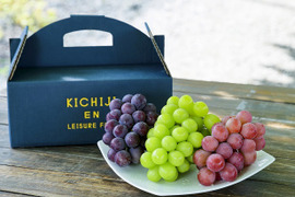 目にも鮮やか！大粒3色種なしぶどうセット１４００ｇ以上（計３房）