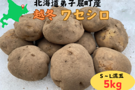 北海道の越冬ジャガイモ！『ワセシロ』(5kg)
