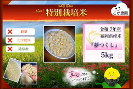 すいか商品　準自然米　福岡県産「夢つくし」令和6年産　玄米20kg 準自然米 大好評の福岡県産「夢つくし」令和7年産 玄米20kg