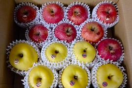 【岩手・紫波町】🍎🍏特別栽培「サンふじ」「はるか」の詰め合わせ（家庭用5kg・14玉）　これで最後です！