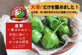 【激辛好きの方必見!!】辛党に捧ぐ次世代スパイス「遠野辛パドロン」【500g】