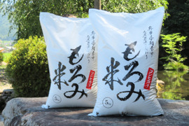 『令和４年度産』自然が育んだ美味しいお米★もろみ米【コシヒカリ】５㎏×２袋