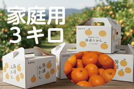 【寒い冬にどうぞ】今が一番おいしい中生みかん（家庭用）3kg｜勝浦町産