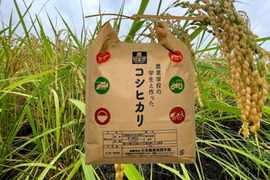学生と作ったお米　日本農業実践学園のコシヒカリ（白米10kg）【分搗き対応可】令和4年産