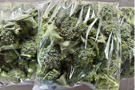 【訳あり品】富山県産 スティックセニョール 茎ブロッコリー