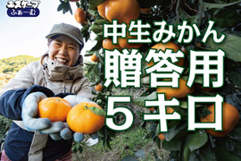 【濃厚な味わい】今が一番おいしい中生みかん（秀品 5kg）｜勝浦町産