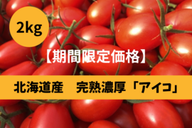 超濃厚！甘い、うまい、とまらない。完熟ミニトマト「しずくの果