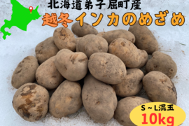 北海道の越冬ジャガイモ！『インカのめざめ』(10kg)