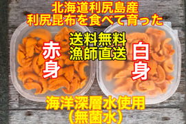 （実質送料無料）蝦夷バフンウニ 赤身白身食べ比べセット（利尻島産）2パック200g入れ