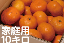 【寒い冬にどうぞ】今が一番おいしい中生みかん（家庭用）10kg｜勝浦町産