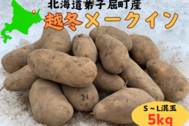 北海道の越冬ジャガイモ！『メークイン』！(5kg)