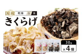 徳島県産乾燥きくらげ白黒30g×4