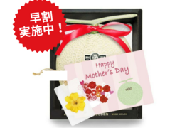 【母の日ギフト】「マスクメロン厳選品」1玉箱入り