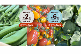 旬の贅沢野菜セット❗️【フラガールミニトマト×スジナインスナップ×ブロッコリー】Sサイズ