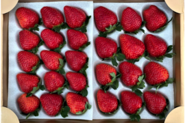 特大いちごの食べ比べセット　【要確認】1月から順次発送予定　赤大赤大