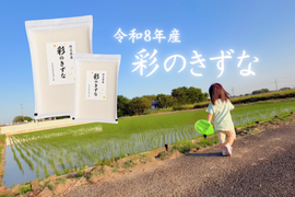 【R8年産 新米】予約でお得に！『彩のきずな』 (精米4.5kg)