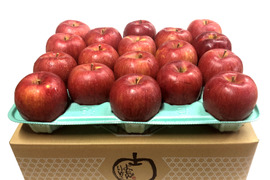 【予約販売】販売担当者イチオシ👆シナノスイート💕家庭用約4.5Kg🍎青森県産　人気限定品