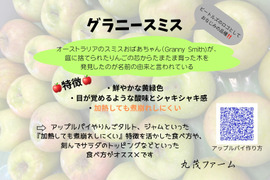 甘くない贅沢！これぞグラニースミス10㎏（25～40玉）