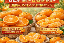 【希少高級柑橘の食べ比べ🎁】せとか1kg＋はるみ1kg🍊濃厚とろ甘人気柑橘セット